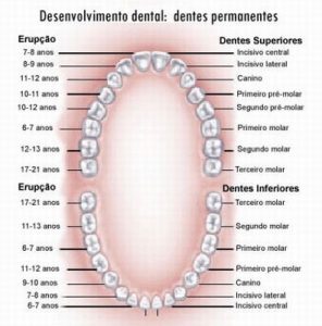 denticao-permanente