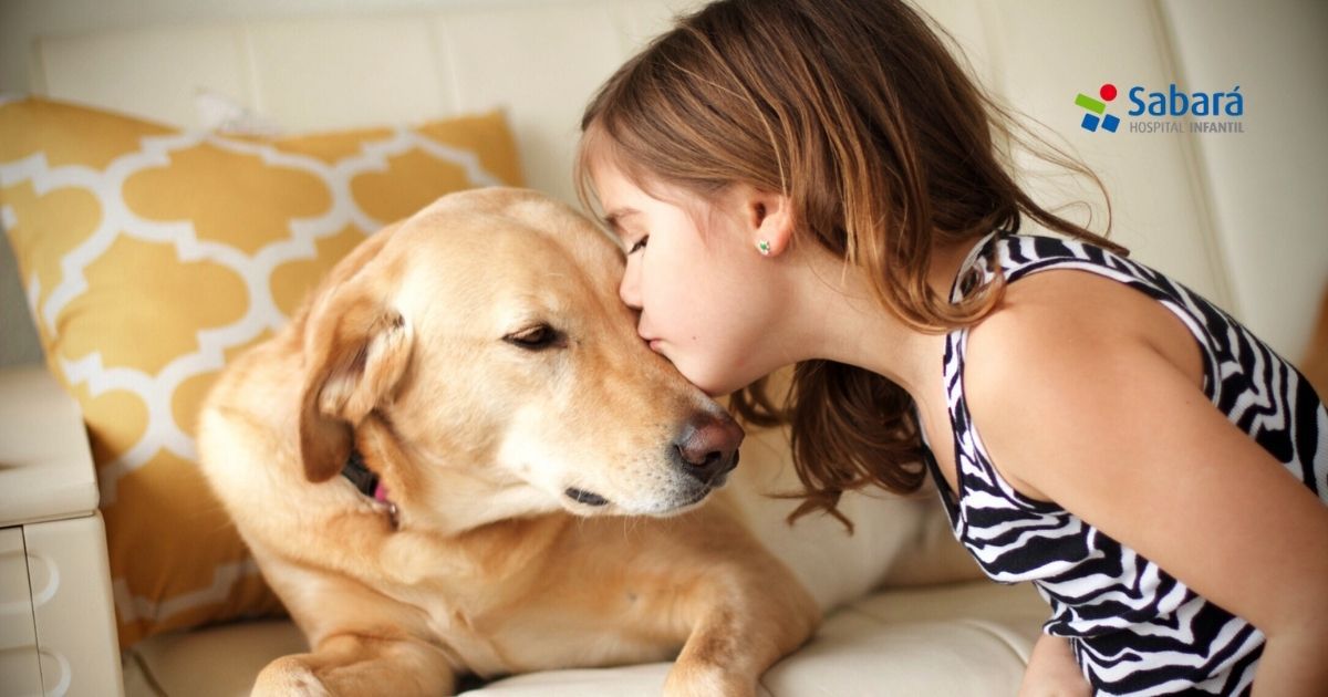 O bichinho de estimação morreu; e agora como contar para a criança? O bichinho de estimação morreu; e agora como contar para a criança?