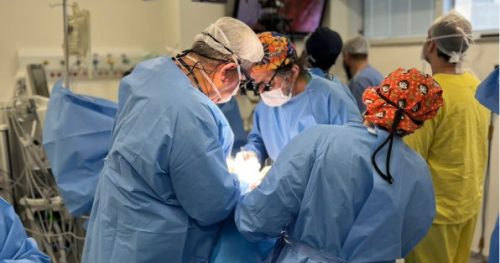Sabará Hospital Infantil recebe Grupo Cooperativo Brasileiro Multiinstitucional para o Tratamento de Extrofia de Bexiga pela Técnica de Kelly